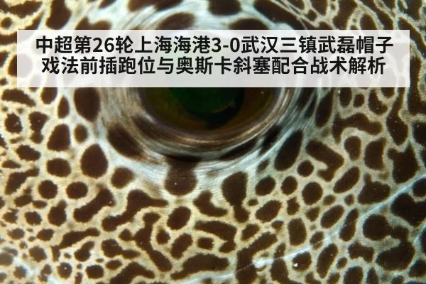中超第26轮上海海港3-0武汉三镇武磊帽子戏法前插跑位与奥斯卡斜塞配合战术解析