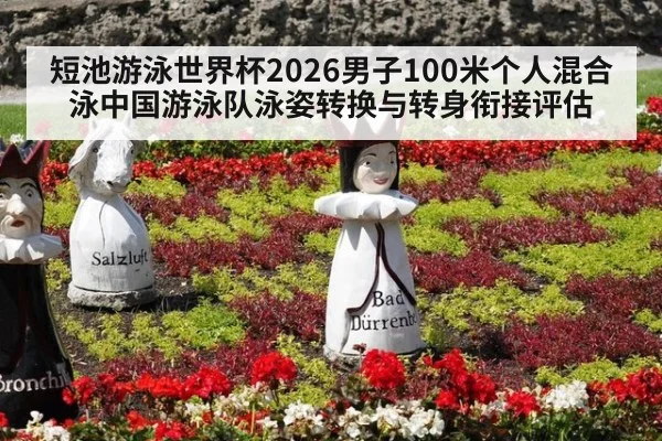 短池游泳世界杯2026男子100米个人混合泳中国游泳队泳姿转换与转身衔接评估